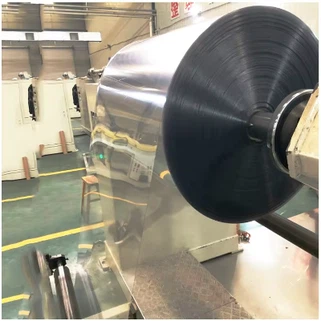 Taflen Anifeiliaid Anwes yn y Rhôl